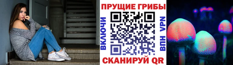 сколько стоит  Химки  Галлюциногенные грибы MAGIC MUSHROOMS 